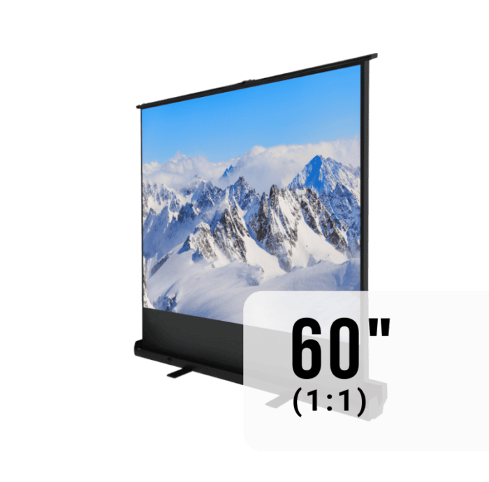 Floor Screen 60" 2